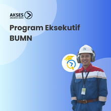 Program Eksekutif BUMN